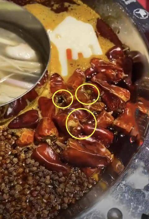 某火锅店爆料视频大全最新,揭秘行业幕后真相 第3张 某火锅店爆料视频大全最新,揭秘行业幕后真相 第3张