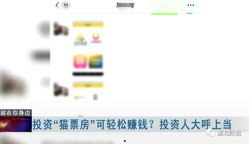 湖北陈女士最近爆料视频,揭露惊人内幕，引发社会关注