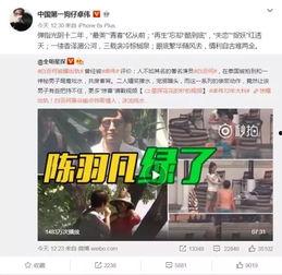 湖北陈女士最近爆料视频,揭露惊人内幕,引发社会关注 第3张 湖北陈女士最近爆料视频,揭露惊人内幕,引发社会关注 第3张