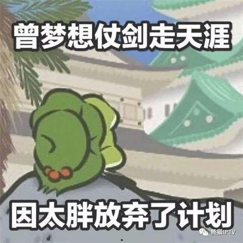 泥娃养殖爆料是真的吗视频
