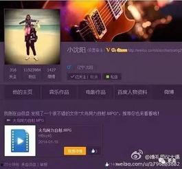 成源微博爆料视频下载,下载背后的真相与争议