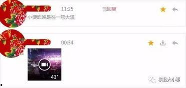 成源微博爆料视频下载,下载背后的真相与争议 第3张 成源微博爆料视频下载,下载背后的真相与争议 第3张