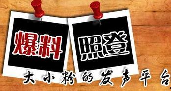 重庆陈先生最新爆料,揭秘背后惊人真相 第3张 重庆陈先生最新爆料,揭秘背后惊人真相 第3张