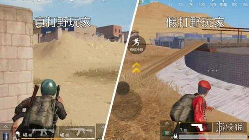 吃鸡沙漠地图最新爆料,揭秘吃鸡新地图的神秘面纱 第3张 吃鸡沙漠地图最新爆料,揭秘吃鸡新地图的神秘面纱 第3张