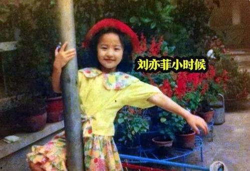 爆料霸凌刘亦菲视频播放,真相究竟如何? 第2张 爆料霸凌刘亦菲视频播放,真相究竟如何? 第2张