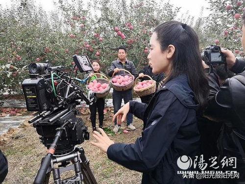 千钧一发记者爆料视频在线观看,记者揭秘视频在线观看 第3张 千钧一发记者爆料视频在线观看,记者揭秘视频在线观看 第3张