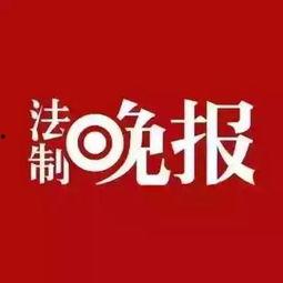 博白新闻爆料电话,倾听民声,传递正义 第2张 博白新闻爆料电话,倾听民声,传递正义 第2张