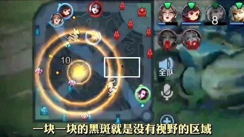 茶壶王者爆料视频,视频爆料背后的茶艺传奇