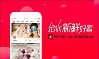 娱乐吃瓜酱视频模板免费,一场惊心动魄的“吃瓜”盛宴 第3张 娱乐吃瓜酱视频模板免费,一场惊心动魄的“吃瓜”盛宴 第3张