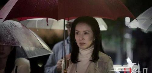 阿帅前妻爆料视频,揭秘婚姻内幕与情感纠葛 第2张 阿帅前妻爆料视频,揭秘婚姻内幕与情感纠葛 第2张