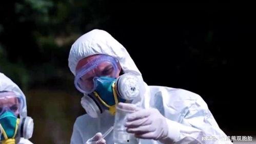 美国最新病毒爆料,揭秘新型病毒变异与传播现状