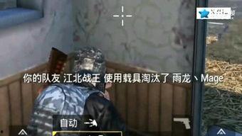 壮哥吃鸡爆料视频下载,揭秘游戏幕后精彩瞬间