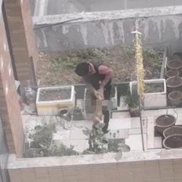 河南一小区爆料视频,揭秘小区内幕 第3张 河南一小区爆料视频,揭秘小区内幕 第3张