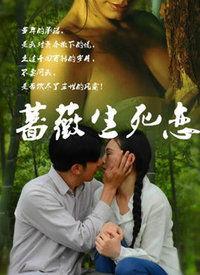 蔷薇生死恋在线观看,穿越时空的绝美爱情故事  第2张