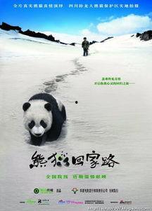 熊猫回家路在线观看,穿越山川的温馨归途 第1张 熊猫回家路在线观看,穿越山川的温馨归途 第1张