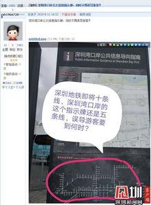 龙岗爆料新闻最新消息,突发事件引发关注，详情即将揭晓