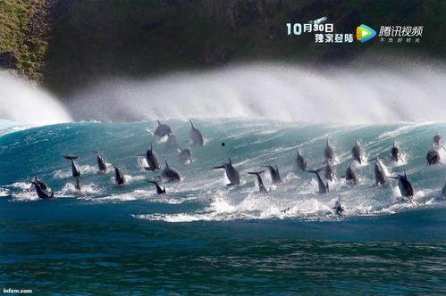 蓝色大海在线观看,在线畅游梦幻海洋之旅 第2张 蓝色大海在线观看,在线畅游梦幻海洋之旅 第2张