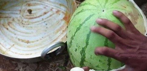 网红吃瓜视频全集,揭秘娱乐圈幕后真相 第3张 网红吃瓜视频全集,揭秘娱乐圈幕后真相 第3张