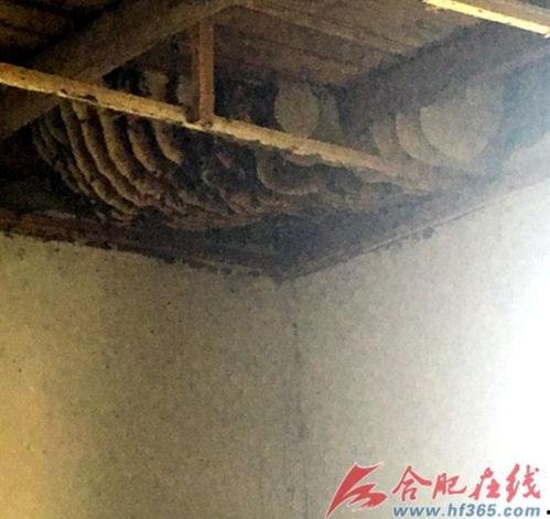 最新古墓发掘视频爆料,千年宝藏重现世间 第3张 最新古墓发掘视频爆料,千年宝藏重现世间 第3张