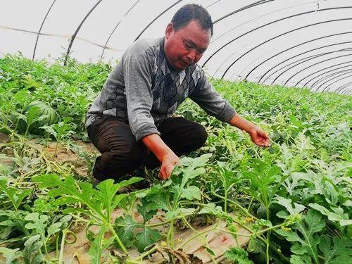 吃瓜娱乐郑州,揭秘网红美食与娱乐新风尚 第3张 吃瓜娱乐郑州,揭秘网红美食与娱乐新风尚 第3张