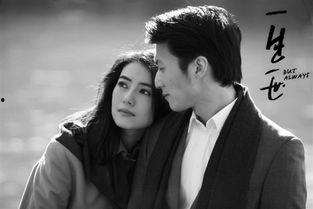 一生一世 在线观看,爱情永恒的浪漫之旅 第3张 一生一世 在线观看,爱情永恒的浪漫之旅 第3张