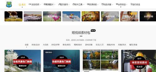 爆料视频素材库在哪里看,爆料视频素材库的神秘之地  第2张