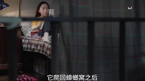 伊静和姐姐最新爆料视频,惊人内幕大公开！