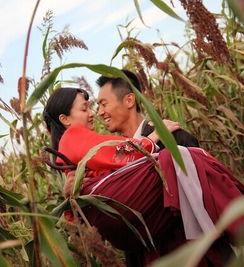 红高粱在线观看完整版,激情燃烧的岁月，热血沸腾的传奇