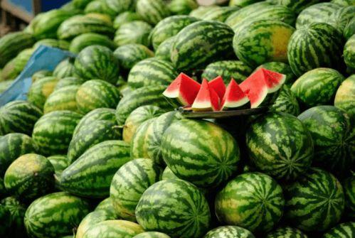 那些吃瓜的网红,揭秘网络红人的八卦世界 第3张 那些吃瓜的网红,揭秘网络红人的八卦世界 第3张