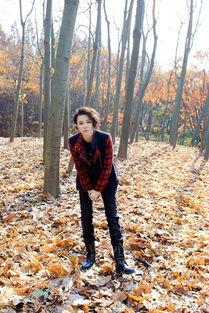 大山最新爆料,揭秘娱乐圈不为人知的幕后真相 第2张 大山最新爆料,揭秘娱乐圈不为人知的幕后真相 第2张