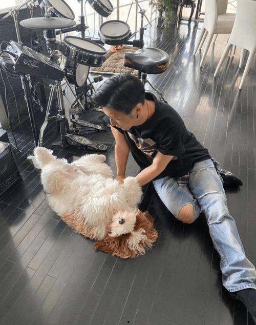 暗黑网红爆料视频,背后惊人真相曝光