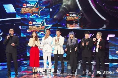 梦想季最新爆料,明星幕后故事与心路历程大曝光