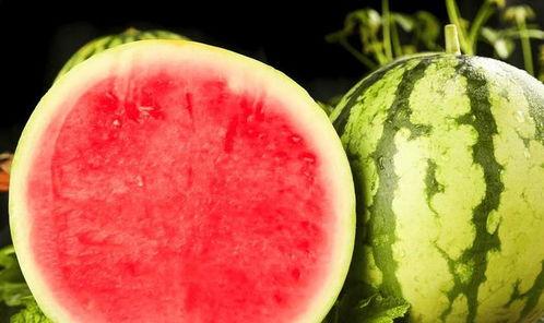 全国免费吃瓜网站有哪些,畅享网络盛宴的秘籍 第3张 全国免费吃瓜网站有哪些,畅享网络盛宴的秘籍 第3张