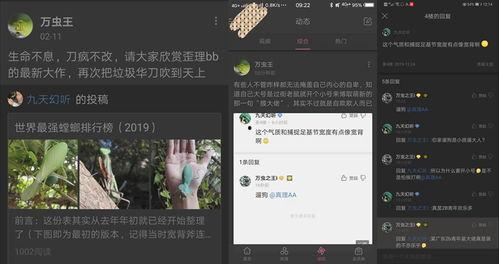 贴吧大神爆料螳螂视频,螳螂捕食瞬间，高清视频震撼呈现  第3张