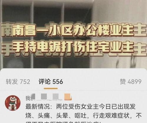 凌人爆料视频,幕后真相大曝光  第3张