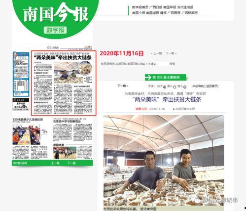 旅游爆料新闻大全电话,一通电话，带你畅游天下奇景  第2张