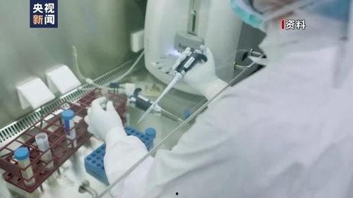 美国爆料疫苗视频,美国爆料视频揭露惊人内幕  第3张