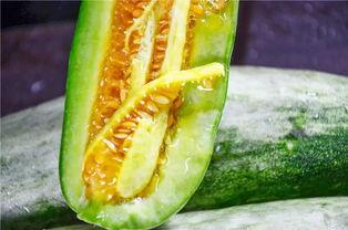 吃瓜网红拍照,镜头下的趣味瞬间 第3张 吃瓜网红拍照,镜头下的趣味瞬间 第3张