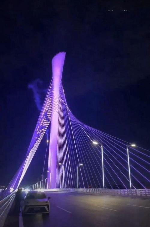 石家庄大桥爆料视频播放