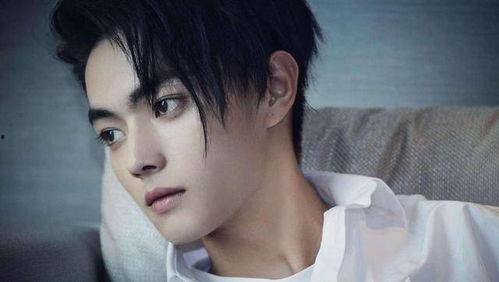 博主爆料景甜许凯视频,恋情疑曝光引网友热议